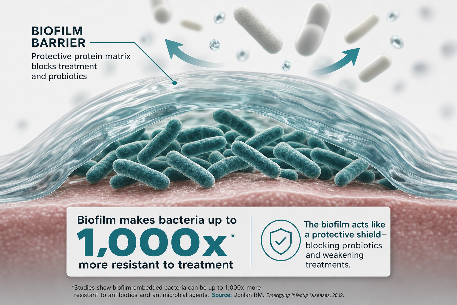 Biofilm makes bacteria up to 1,000x more resistant to treatment